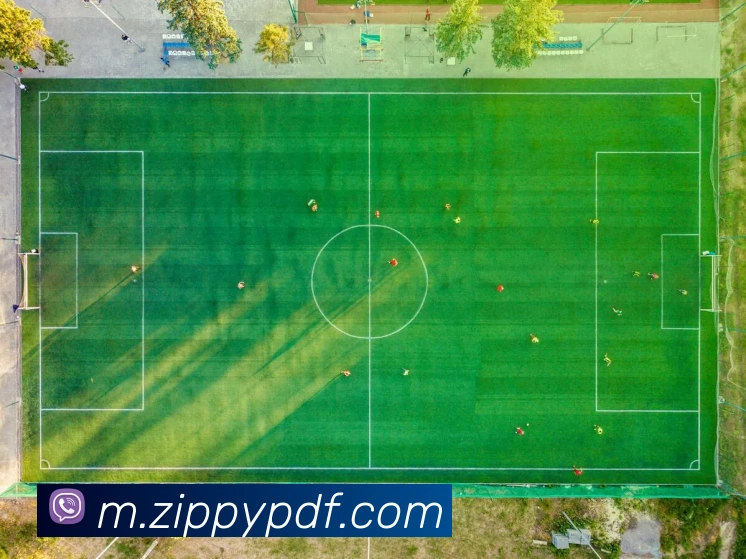 多媒体互动体验